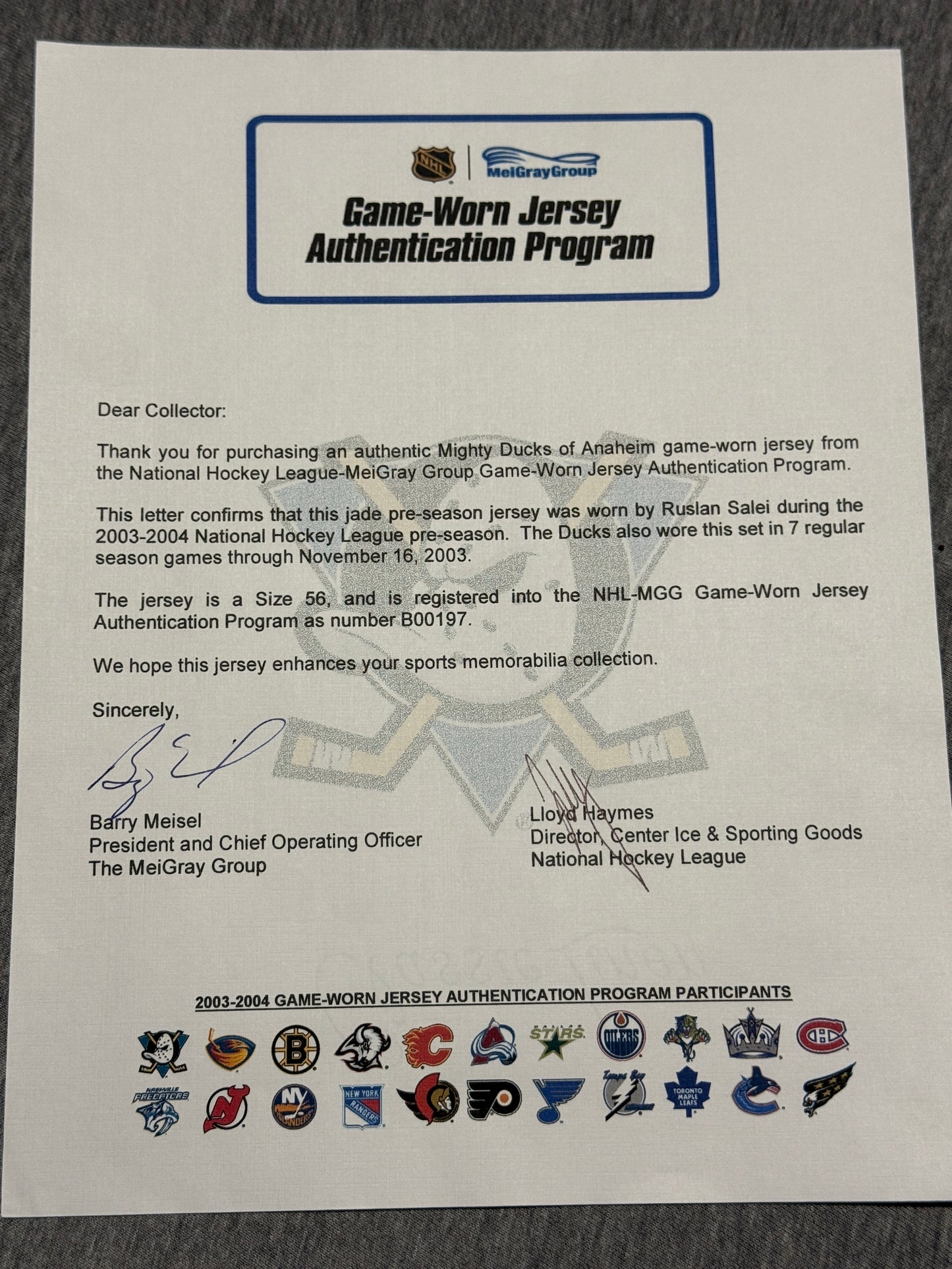 Anaheim Mighty Ducks Salei Game Worn Jersey