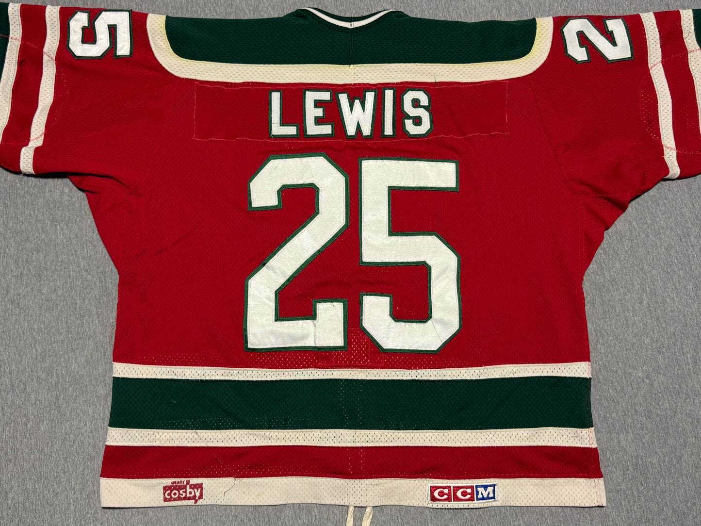 New Jersey Devils Dave Lewis Game Worn Jersey