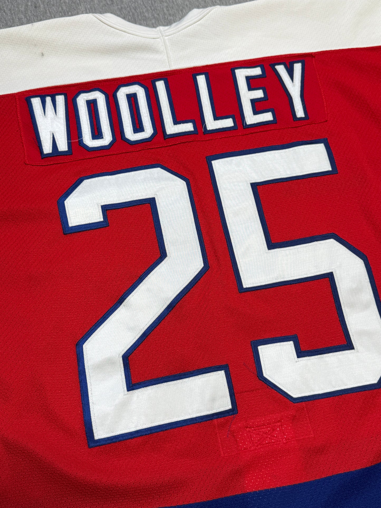 Washington Capitals Jason Woolley 20th Patched Game Worn Jersey