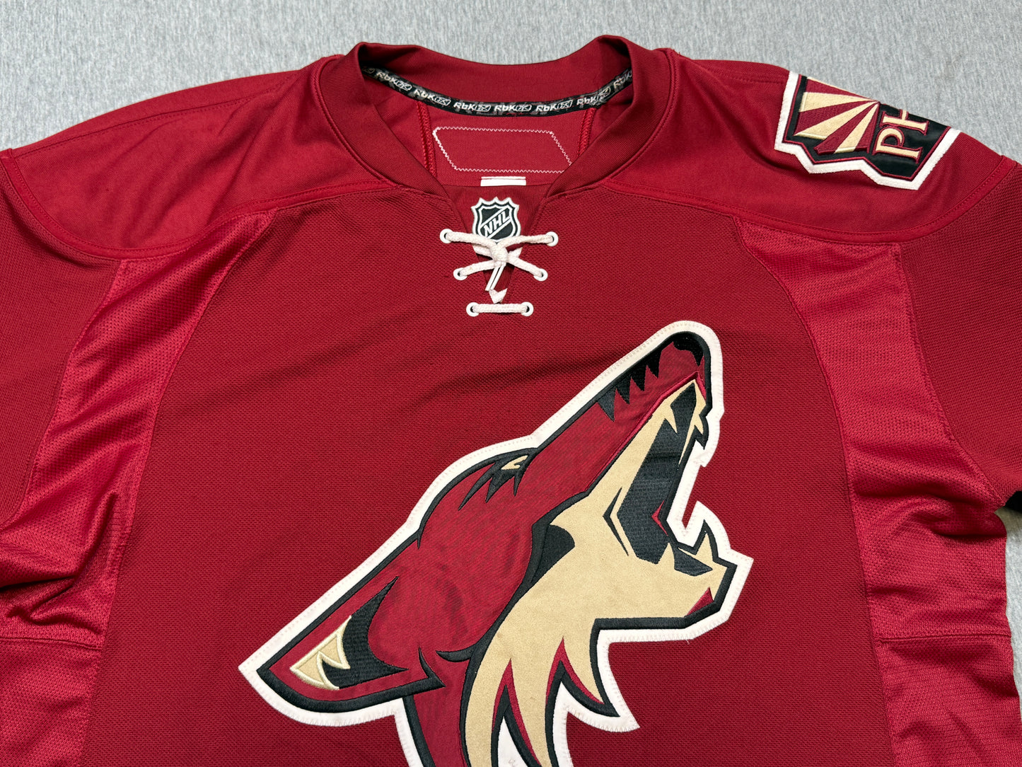 Arizona Coyotes Martin Hanzal Rookie Game Worn Jersey