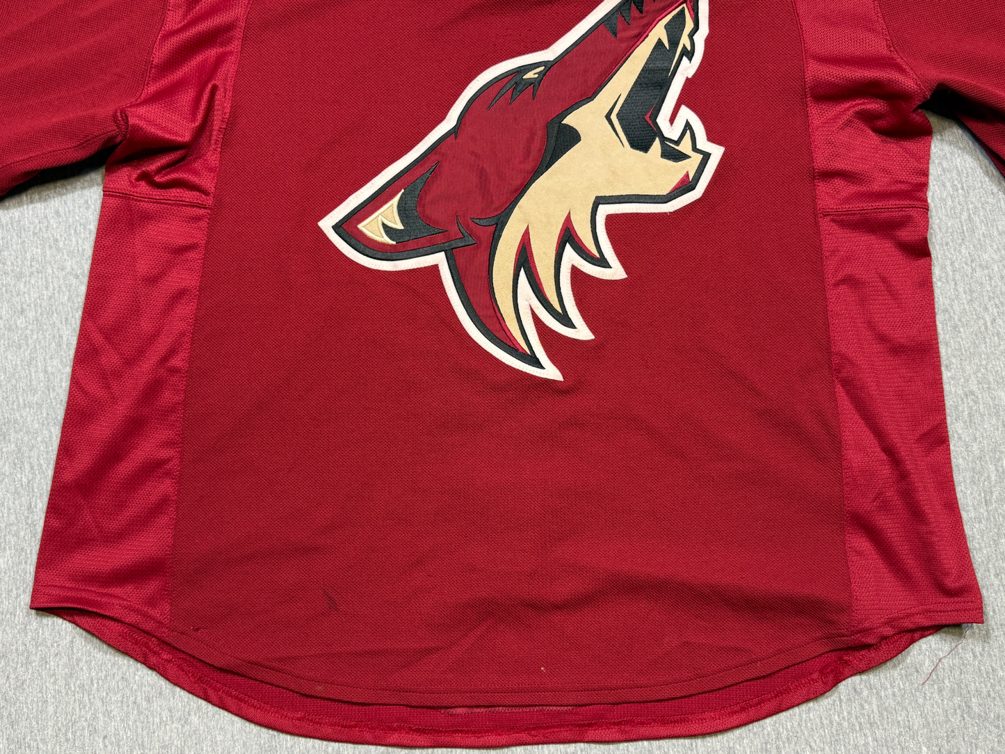 Arizona Coyotes Martin Hanzal Rookie Game Worn Jersey